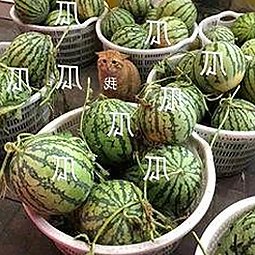 www.199麻豆:淮南市最新高清资源获取指南