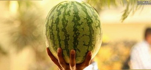 红桃影院免费观看电视剧电视剧高清官方版免费版:轻松追剧的最佳选择