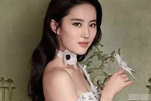 小🐔🐔伸进🈲🔞🔞A:引发热议的极端内容与网络热点