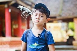 揭秘高清乱码🔞❌♋免91官方版免费版：网络内容的新现状与挑战