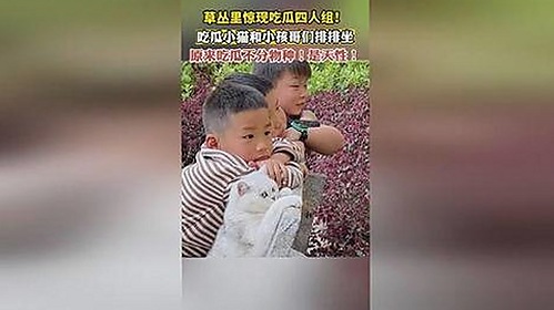 最新91漫画安装包下载指南：畅享高清动漫体验