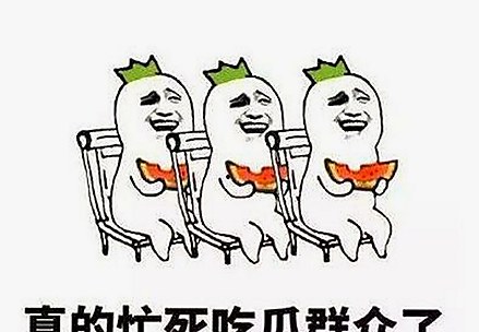 探索麻豆视频在线观看官方版的最新动态与安全性分析