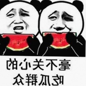 揭秘贵阳市用户热议的菠萝视频官方版下载现象