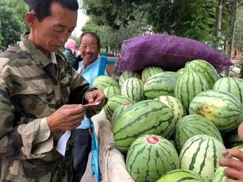 91破解版官方版下载：最新版本介绍与资源获取