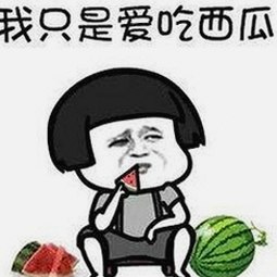 小伙子泻火老阿视频官方版：最新动态与下载指南