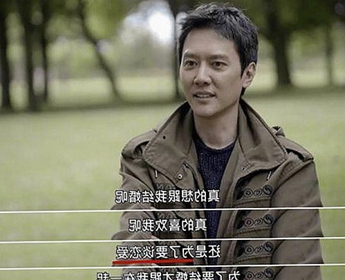 樱花视频官方版正版下载:畅享高清内容与丰富资源