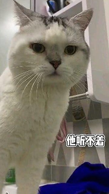 最新动态:如何安全畅快地体验撸撸射官方版下载