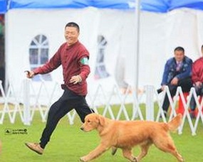 揭秘高清乱码🔞❌♋免费17c免费版：让你轻松享受精彩影视体验