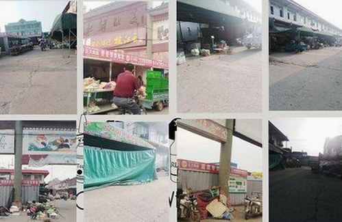 91看片官方版下载:安全体验与资源介绍