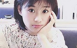 成品网站1688入口的代码体现免费版：最新功能解析