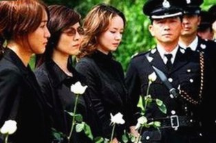 香蕉视频：带你领略多彩娱乐新体验