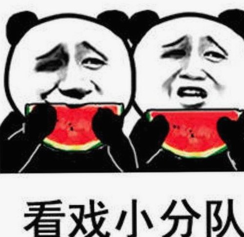 最新稳定版:www91官方版下载带你畅享高清内容