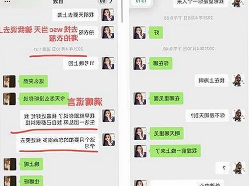 最新上线：茄子视频免费版官方版带你畅享高清内容与多样选择
