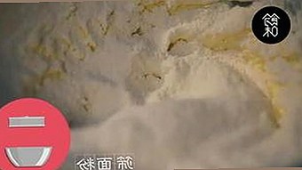 探索免费91官方版,畅享精彩内容和多样资源