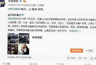 91网站官方版：最新版本介绍与安全指南