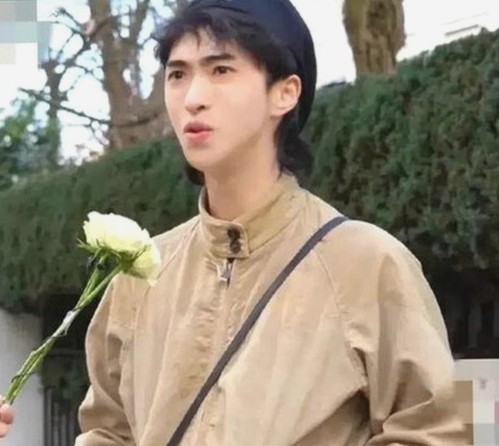 樱桃视频官方版下载：探索成人内容的多元选择
