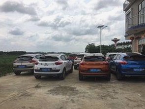 最新版本推荐:西瓜视频最新版下载带你体验多元内容