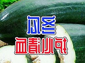 含羞草黄免费版下载：重庆市用户的最新选择与体验