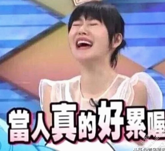 探索惠州市用户的首选：茄子视频官方版的多样体验