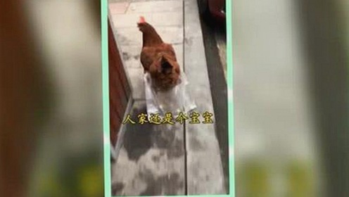 铜陵市居民热衷于使用撸撸射最新版下载探索娱乐新体验