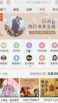 全面解析:红桃视频安装包下载的实用指南