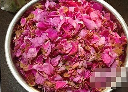 探索免费看mv大片的app免费版官方版，轻松享受高清视听体验