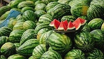 探索91🍆🍑🔞❌❌❌一起草wwwcom17官方版免费版：引领潮流的现象背后