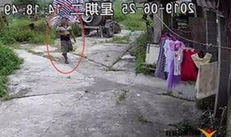 最新动态:best365官网下载最新版本官方版大全全面更新,确保安全与稳定