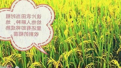 关于高清乱码🔞❌♋免91免费版下载的相关信息分析