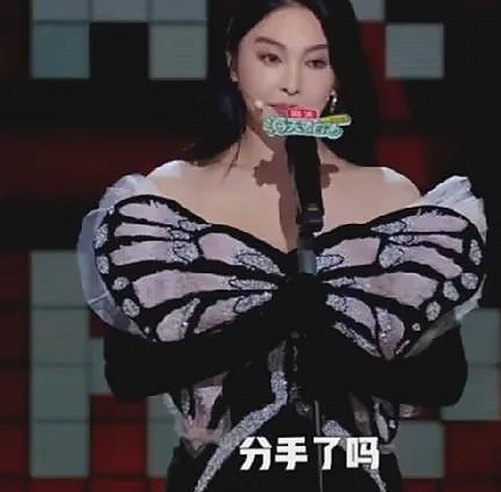 成人网官方版下载：最新版本带来流畅体验与安全保障