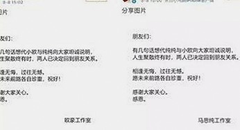 乐山市关于www.91与免费版的最新动态解析