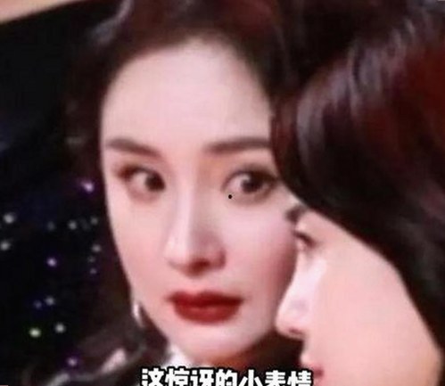 揭秘鲁啊鲁官方版免费版：轻松畅享精彩内容