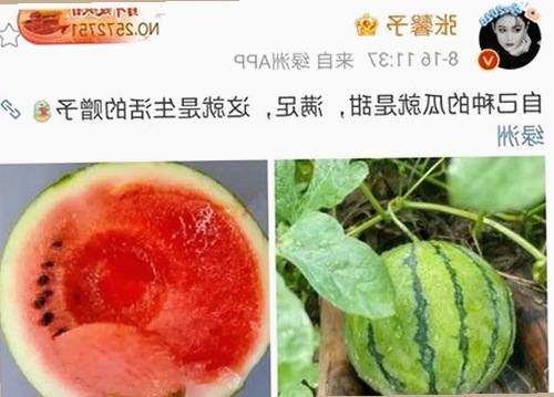 衡水市7777官方版免费版:最新资源解析与应用指南