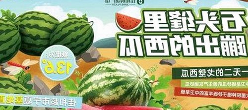 天美传奇传媒免费看电视剧官方版：绍兴市观众的新选择