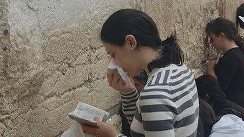 探索中国影视新趋势：维持免费下载9.1版免费下载安装