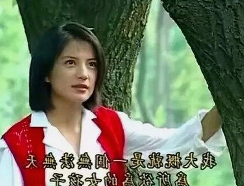 解析：小🐔🐔伸进🈲🔞🔞免费版背后的文化现象