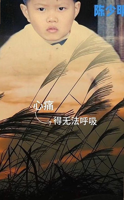 已满十八免费观看电视剧官方版免费版：免费在线观看指南