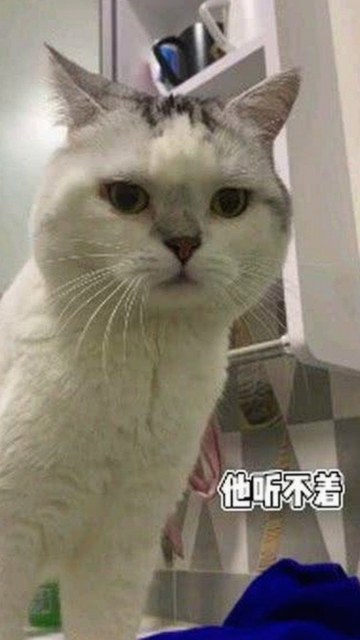 最新🔞🍌进🍑里❌❌❌片AV官方版下载引发关注