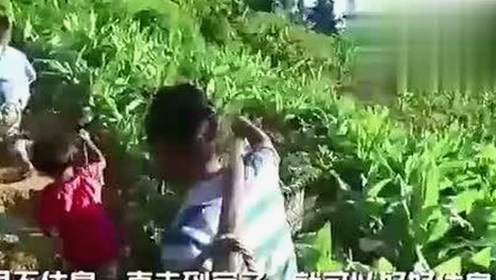 关于嫩草17.c 91免费版下载的最新情况分析
