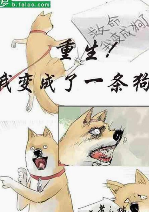 最新资源:十九岁完整版免费完整版中文免费版下载指南