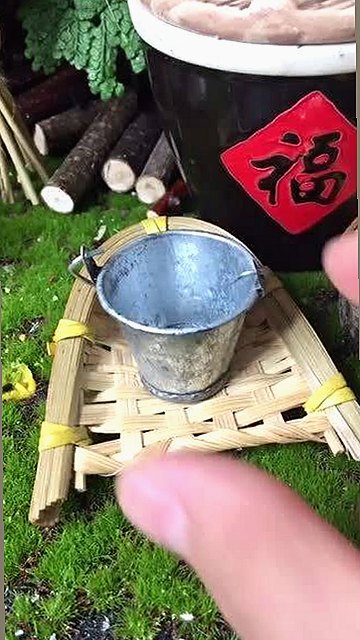揭秘:免费黄色官方版免费版带来的真实体验对比
