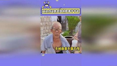 91n与免费版:探索丹东市数字营销工具的不同选择