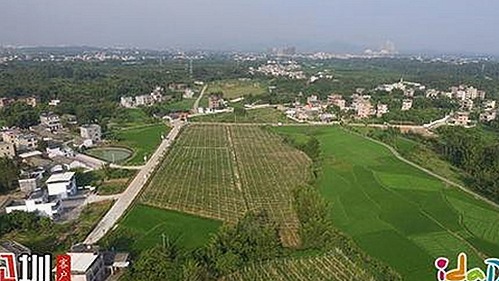毕节市用户体验分享:免费黄色官方免费版的最新动态