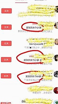 从体验到选择：91破解版官方版正版下载的变化与挑战