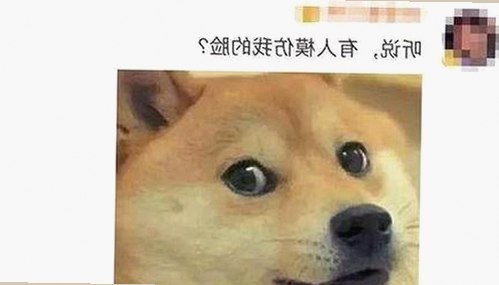 人or狗dna与猪ordna的配合与防治官方版下载