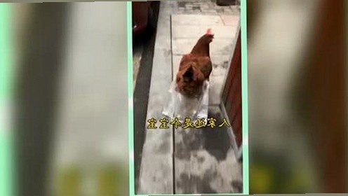 崇左市用户热议：如何安全获取撸撸射最新版下载