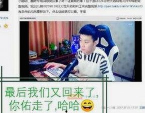 菠萝视频免费版官方版:满足用户多样需求的高清在线播放平台