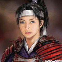 沧州市用户热议：免费黄色官方版的最新动态与使用体验