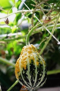 最新发现:🔞🍌进🍑里❌❌❌面免费版带来的新变化