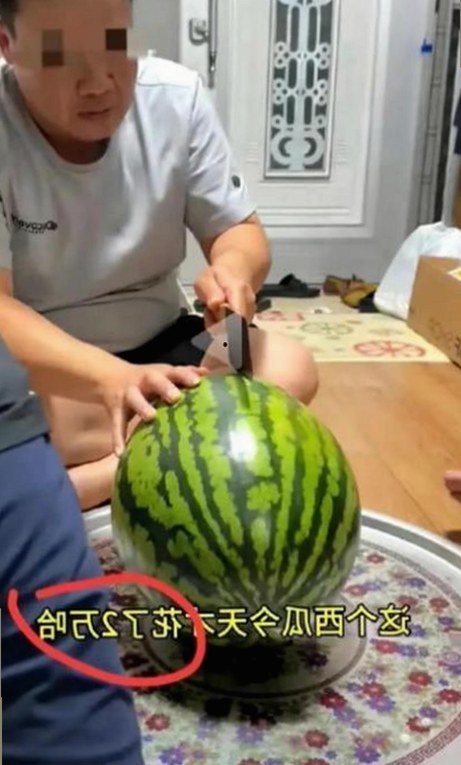 最新发现:🔞🍌进🍑里❌❌❌面免费版带来的新变化